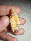 3g Natural Raw Amber Copal Specimen Yellow Crust Cognac Resin Rough Fossil Piece #15