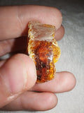3g Natural Raw Amber Copal Specimen Yellow Crust Cognac Resin Rough Fossil Piece #15