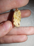 3g Natural Raw Amber Copal Specimen Yellow Crust Cognac Resin Rough Fossil Piece #15
