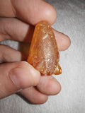 4g Natural Raw Amber Copal Specimen Gemmy Honey Golden Resin Fossil Piece #16