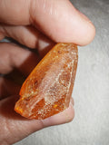 4g Natural Raw Amber Copal Specimen Gemmy Honey Golden Resin Fossil Piece #16