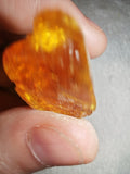 4g Natural Raw Amber Copal Specimen Gemmy Honey Golden Resin Fossil Piece #16