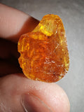 4g Natural Raw Amber Copal Specimen Gemmy Honey Golden Resin Fossil Piece #16