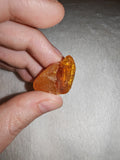 4g Natural Raw Amber Copal Specimen Gemmy Honey Golden Resin Fossil Piece #16