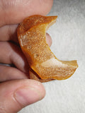 4g Natural Raw Amber Copal Specimen Crescent Moon Shape Golden Resin Piece #17