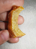 4g Natural Raw Amber Copal Specimen Crescent Moon Shape Golden Resin Piece #17