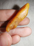 4g Natural Raw Amber Copal Specimen Crescent Moon Shape Golden Resin Piece #17