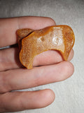 4g Natural Raw Amber Copal Specimen Crescent Moon Shape Golden Resin Piece #17