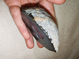 131g Natural Black Grey Agate Geode Slice Waterline Druzy Quartz Crystal Cave