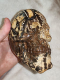 1.1kg Hand Carved Skull Fossil Wood Crystal possible picture jasper