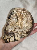 1.1kg Hand Carved Skull Fossil Wood Crystal possible picture jasper