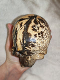 1.1kg Hand Carved Skull Fossil Wood Crystal possible picture jasper