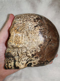 1.1kg Hand Carved Skull Fossil Wood Crystal possible picture jasper