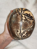 1.1kg Hand Carved Skull Fossil Wood Crystal possible picture jasper