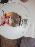 115g Polished Petrified Wood Slice Fossil Wood Tree Ring Display Specimen