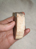 115g Polished Petrified Wood Slice Fossil Wood Tree Ring Display Specimen