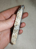 54g Polished Blue Coral Slice Specimen Heliopora Natural Oceanic Display