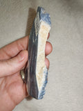 46g Polished Blue Coral Slice Starburst Corallite Heliopora Fossil Marine Display