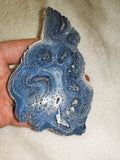 107g Large Polished Blue Coral Slab Starburst Heliopora Fossil Marine Display
