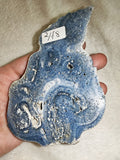 107g Large Polished Blue Coral Slab Starburst Heliopora Fossil Marine Display