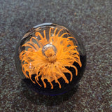 Large Orange Floral Art Glass Paperweight Clear Bubble Dark Base 950g #115