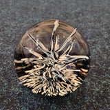 Vintage Selkirk Glass Ebony Limited Edition Paperweight 397/450 1988 #16