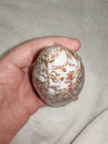 Red Orbicular Jasper Freeform – 345g