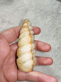 Calcite Stalactite Freeform – Piece #100