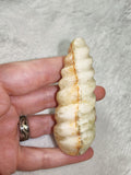 Calcite Stalactite Freeform – Piece #100