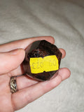 Faceted Almandine Garnet Freeform – Choice of 4