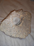Large Mangano Calcite Crystal Cluster – 3.595kg