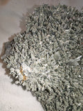Large Chlorite-Coated Quartz Crystal Cluster with Pyrite – Madan, Bulgaria