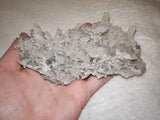 Quartz Crystal Cluster on Grey Matrix | Collector Mineral Specimen | 360g | Piece #2