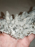 Quartz Crystal Cluster on Grey Matrix | Collector Mineral Specimen | 360g | Piece #2