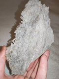 Quartz Crystal Cluster on Grey Matrix | Collector Mineral Specimen | 360g | Piece #2