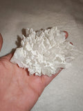 Natural Quartz Crystal Cluster with White Mineral Coating | Collector Mineral Specimen | 212g | Piece #2 (Copy)