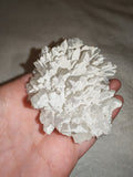 Natural Quartz Crystal Cluster with White Mineral Coating | Collector Mineral Specimen | 212g | Piece #2 (Copy)