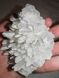 Natural Quartz Crystal Cluster with White Mineral Coating | Collector Mineral Specimen | 212g | Piece #2 (Copy)