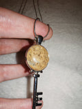 Fossil Coral Key Pendant Necklace | Natural Agatised Coral Gemstone | Silver Tone | #144