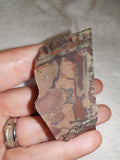 Natural Polychrome Jasper Raw Cut Mineral Specimen Multicolour 60g