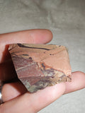 Natural Polychrome Jasper Raw Cut Mineral Specimen Multicolour 60g