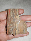 Flow-Banded Rhyolite Natural Cut Rock Mineral Specimen 61g
