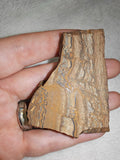 Flow-Banded Rhyolite Natural Cut Rock Mineral Specimen 61g