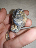 Natural Rough Blue Sapphire Corundum in Matrix Mineral Specimen 58g