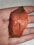 Natural Red Jasper with Hematite & Quartz Rough Mineral Specimen 36g