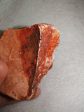 Ferruginous Quartz Crystal Cluster on Red Chalcedony Carnelian Matrix 88g