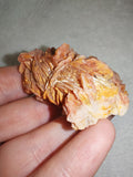 Iron-Stained Baryte Barite Bladed Rosette Crystal Cluster Mineral Specimen 82g