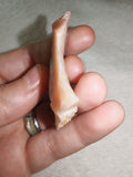 Natural Pink Chalcedony Rough Mineral Specimen Peach Crystal 14g