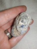 Natural Blue Kyanite in Matrix Rough Mineral Specimen 69g