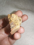 Natural Banded Chert Flint Specimen Iron Oxide Patterning Raw Stone 24g